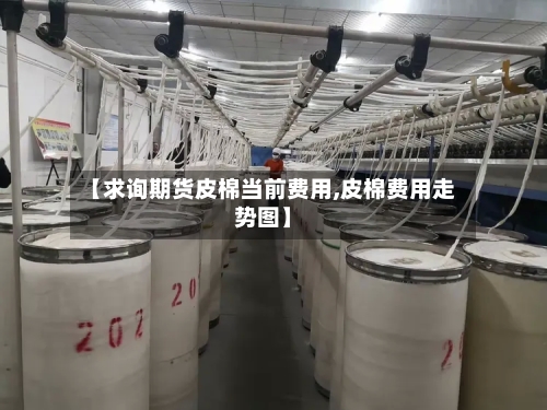 【求询期货皮棉当前费用,皮棉费用走势图】-第2张图片