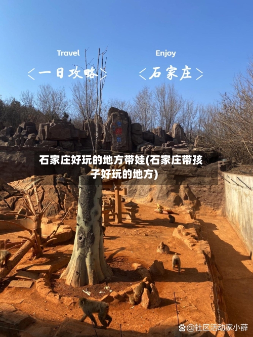 石家庄好玩的地方带娃(石家庄带孩子好玩的地方)-第3张图片