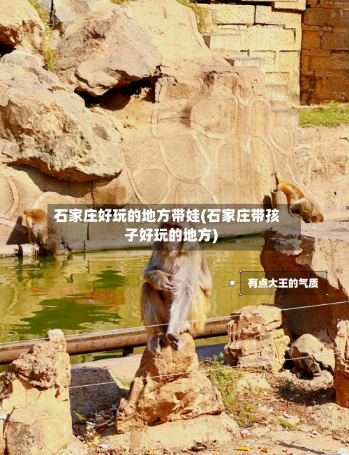 石家庄好玩的地方带娃(石家庄带孩子好玩的地方)