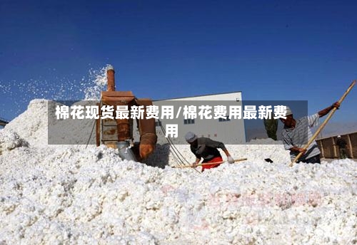 棉花现货最新费用/棉花费用最新费用-第3张图片
