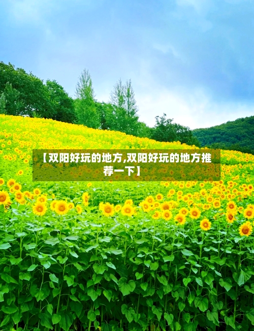 【双阳好玩的地方,双阳好玩的地方推荐一下】