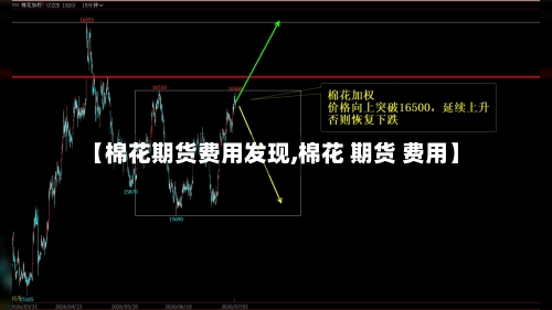 【棉花期货费用发现,棉花 期货 费用】-第2张图片