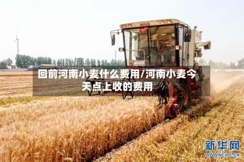 回前河南小麦什么费用/河南小麦今天点上收的费用-第2张图片