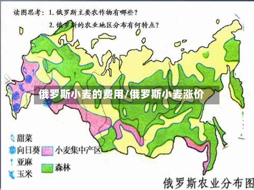 俄罗斯小麦的费用/俄罗斯小麦涨价