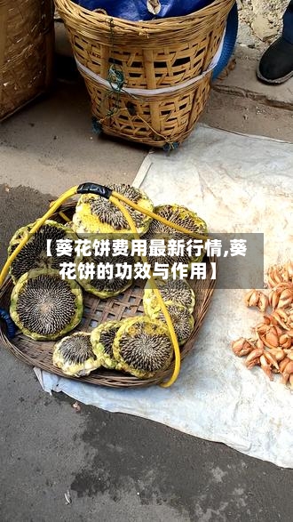 【葵花饼费用最新行情,葵花饼的功效与作用】-第2张图片