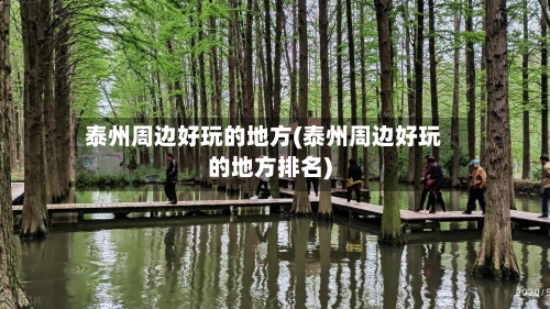 泰州周边好玩的地方(泰州周边好玩的地方排名)-第2张图片