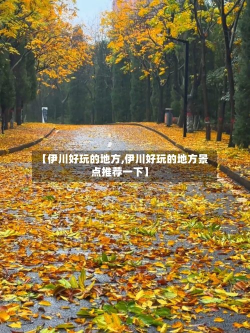 【伊川好玩的地方,伊川好玩的地方景点推荐一下】-第2张图片
