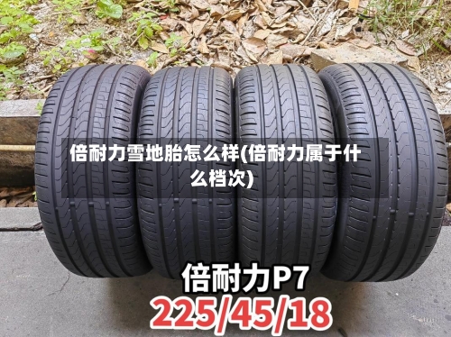 倍耐力雪地胎怎么样(倍耐力属于什么档次)-第3张图片