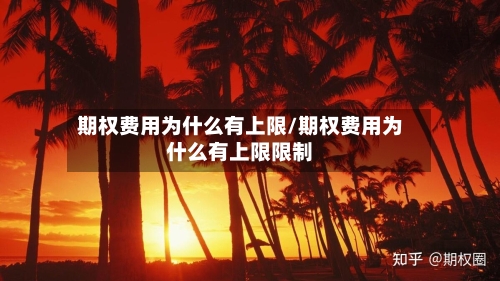期权费用为什么有上限/期权费用为什么有上限限制