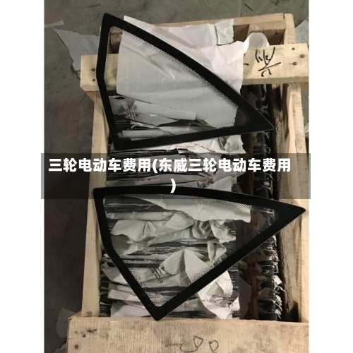 三轮电动车费用(东威三轮电动车费用)-第3张图片