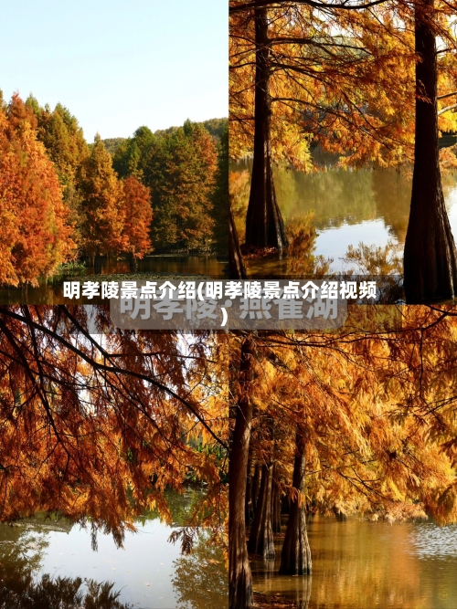 明孝陵景点介绍(明孝陵景点介绍视频)-第2张图片