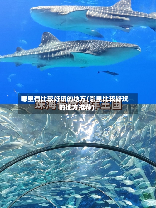 哪里有比较好玩的地方(哪里比较好玩的地方推荐)-第2张图片
