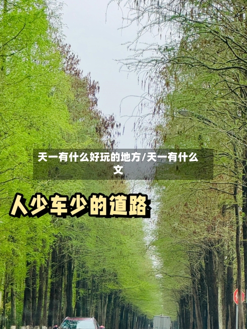 天一有什么好玩的地方/天一有什么文-第2张图片