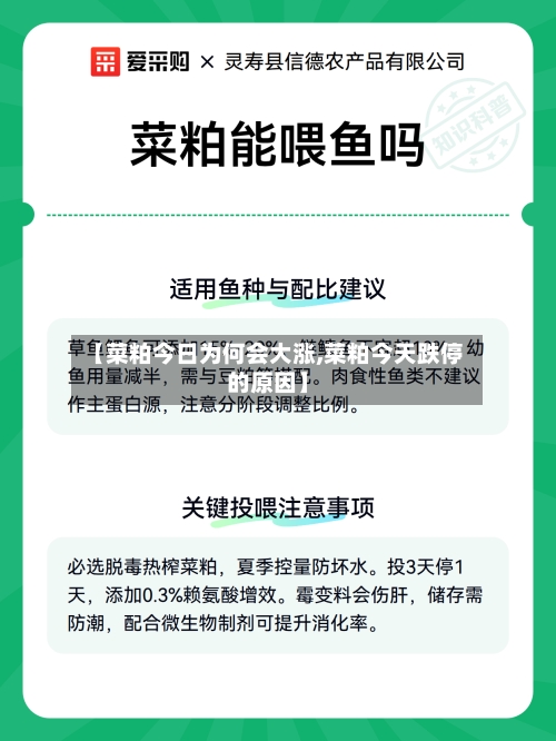 【菜粕今日为何会大涨,菜粕今天跌停的原因】