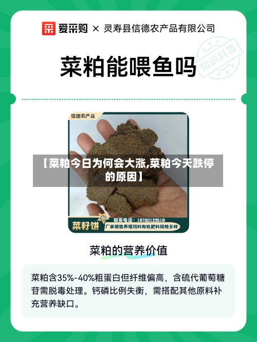 【菜粕今日为何会大涨,菜粕今天跌停的原因】-第2张图片