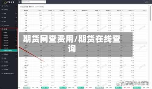 期货网查费用/期货在线查询-第2张图片