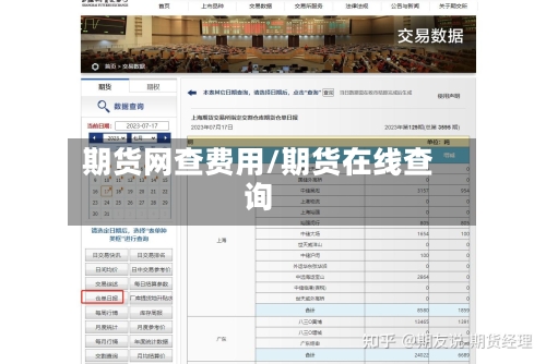 期货网查费用/期货在线查询