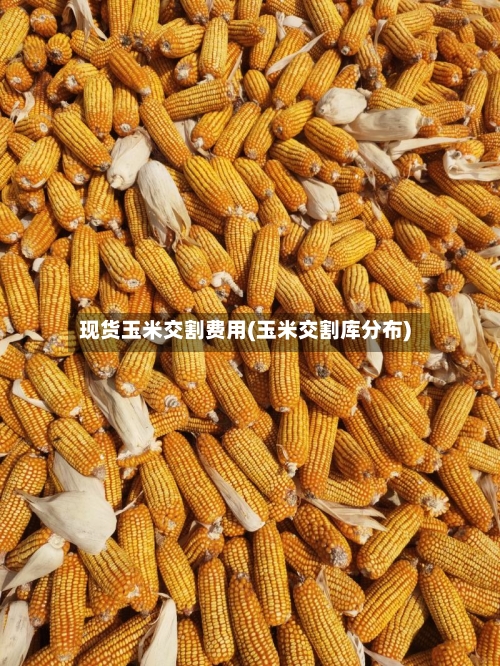 现货玉米交割费用(玉米交割库分布)