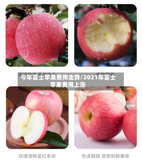 今年富士苹果费用走势/2021年富士苹果费用上涨