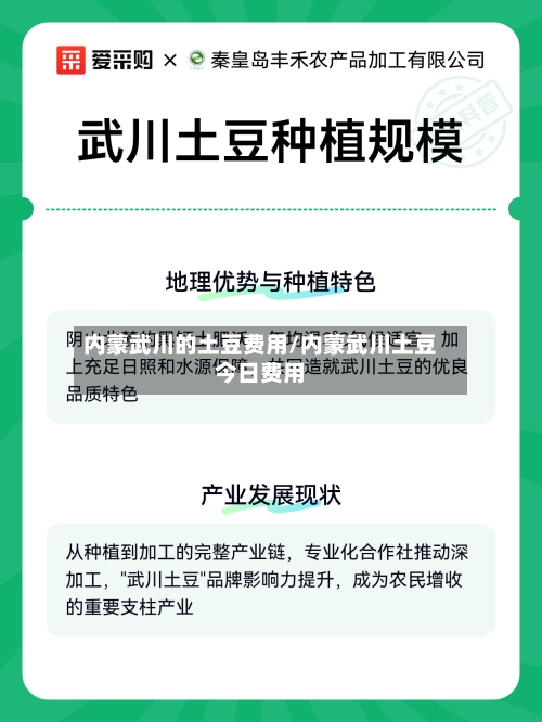 内蒙武川的土豆费用/内蒙武川土豆今日费用