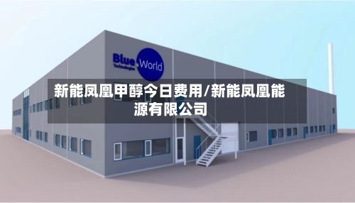 新能凤凰甲醇今日费用/新能凤凰能源有限公司-第2张图片