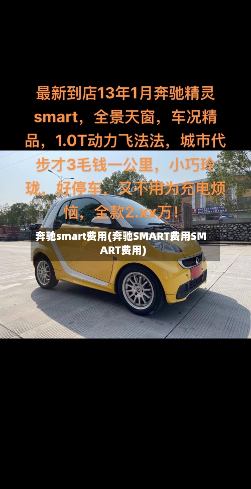 奔驰smart费用(奔驰SMART费用SMART费用)-第2张图片