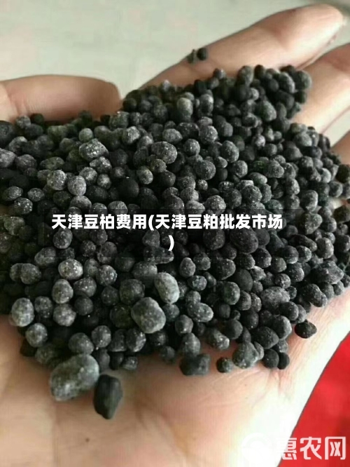 天津豆柏费用(天津豆粕批发市场)-第2张图片
