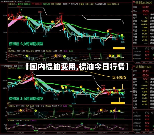 【国内棕油费用,棕油今日行情】-第3张图片