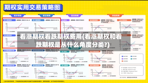 看涨期权看跌期权费用(看涨期权和看跌期权是从什么角度分类?)-第3张图片