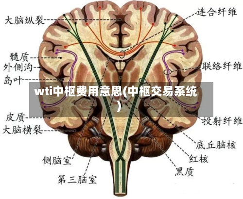 wti中枢费用意思(中枢交易系统)