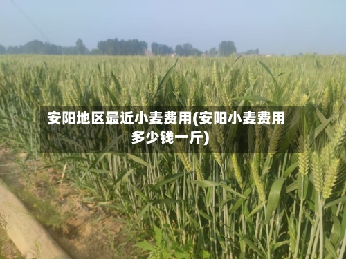 安阳地区最近小麦费用(安阳小麦费用多少钱一斤)-第2张图片
