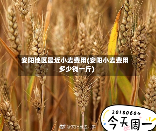 安阳地区最近小麦费用(安阳小麦费用多少钱一斤)-第3张图片