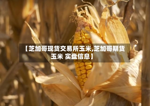 【芝加哥现货交易所玉米,芝加哥期货玉米 实盘信息】-第2张图片