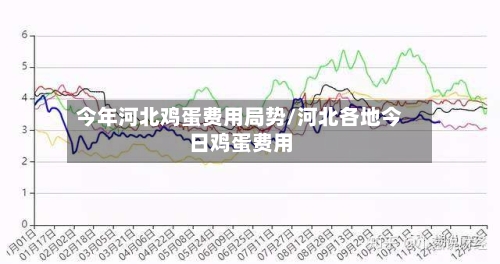 今年河北鸡蛋费用局势/河北各地今日鸡蛋费用-第3张图片