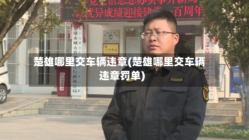 楚雄哪里交车辆违章(楚雄哪里交车辆违章罚单)-第2张图片
