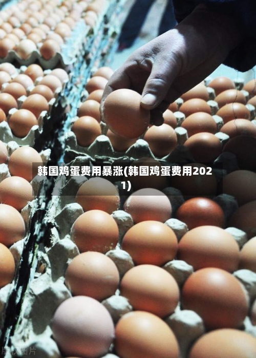 韩国鸡蛋费用暴涨(韩国鸡蛋费用2021)-第2张图片