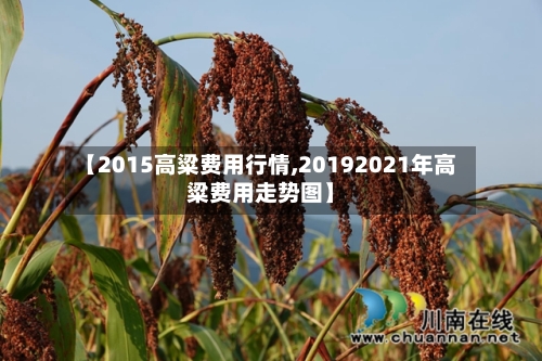 【2015高粱费用行情,20192021年高粱费用走势图】