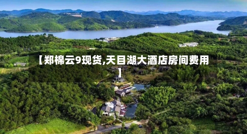 【郑棉云9现货,天目湖大酒店房间费用】