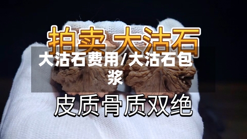 大沽石费用/大沽石包浆-第2张图片