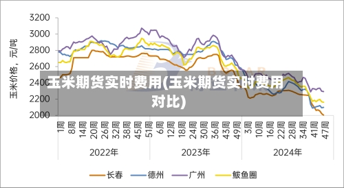 玉米期货实时费用(玉米期货实时费用对比)