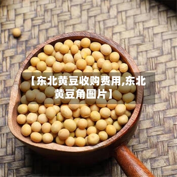 【东北黄豆收购费用,东北黄豆角图片】-第2张图片
