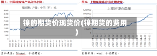 镍的期货价现货价(镍期货的费用)-第3张图片