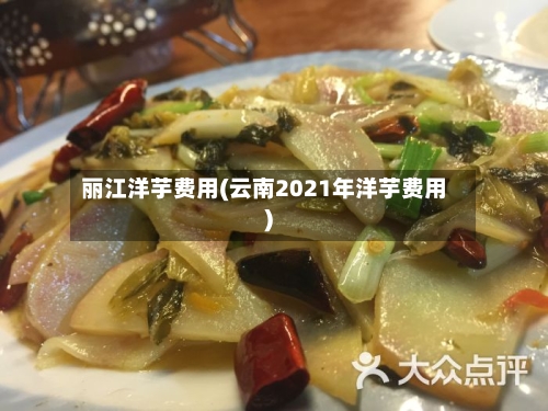 丽江洋芋费用(云南2021年洋芋费用)