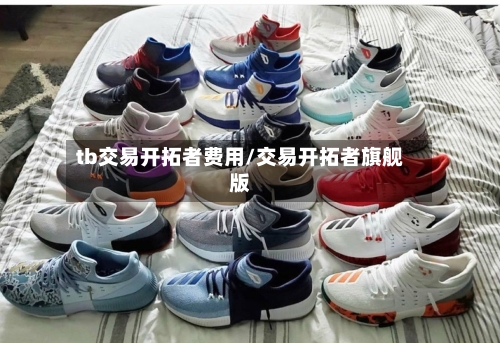tb交易开拓者费用/交易开拓者旗舰版-第2张图片
