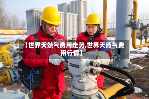 【世界天然气费用走势,世界天然气费用行情】-第2张图片