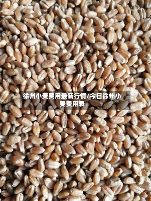 徐州小麦费用最新行情/今日徐州小麦费用表