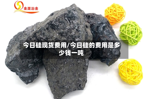 今日硅现货费用/今日硅的费用是多少钱一吨