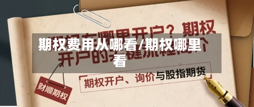 期权费用从哪看/期权哪里看-第3张图片
