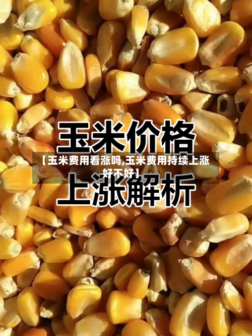 【玉米费用看涨吗,玉米费用持续上涨好不好】