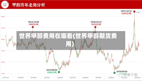 世界甲醇费用在哪看(世界甲醇期货费用)